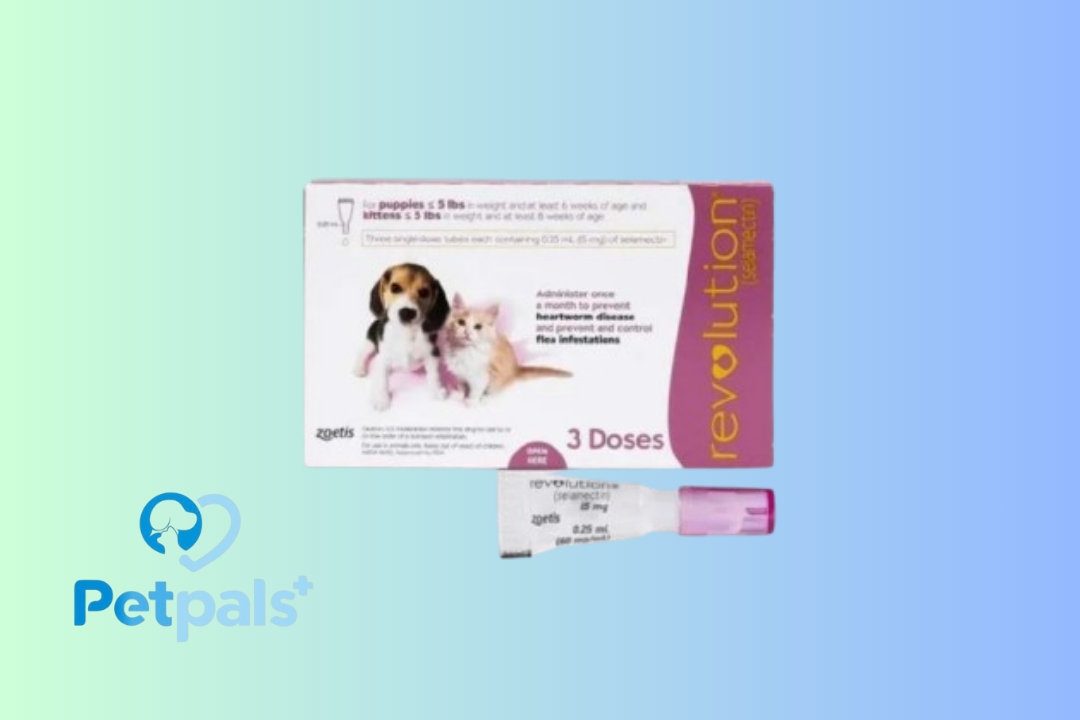 Revolution Mauve Obat Tetes Kutu Kitten